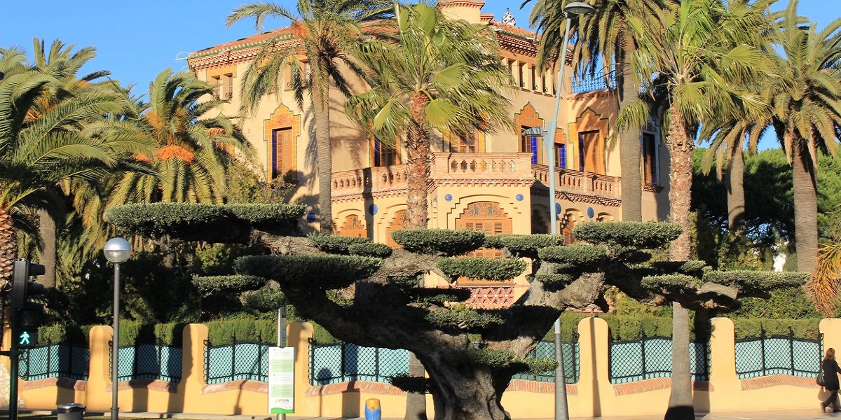 Дом Бонет и старое оливковое дерево - достопримечательности Салоу