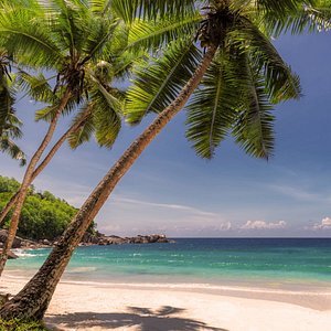 Georges sharing her experience with a private transfer in the French Alps, 2026